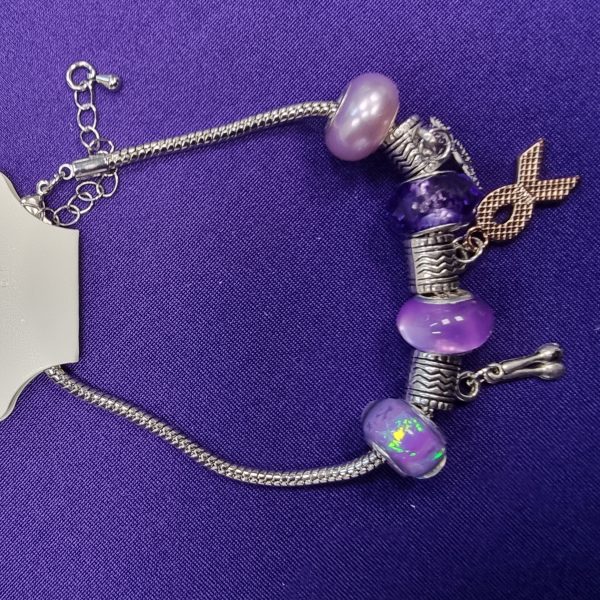 Pandora Style Bracelet