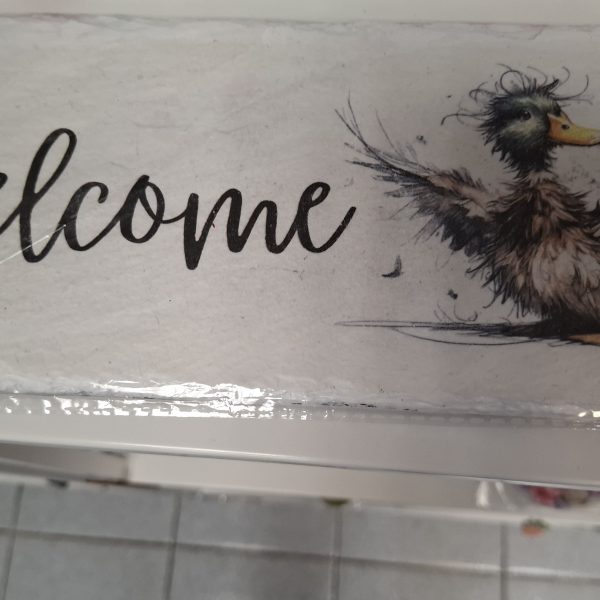 Slate Welcome Duck