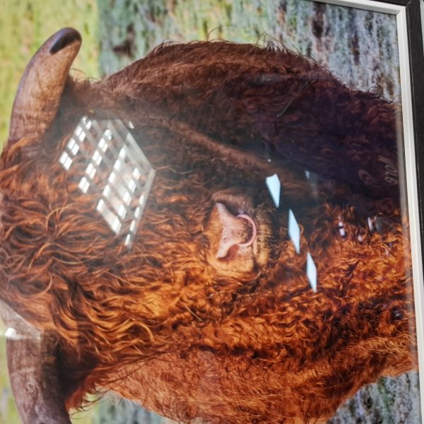 12x12 Frame