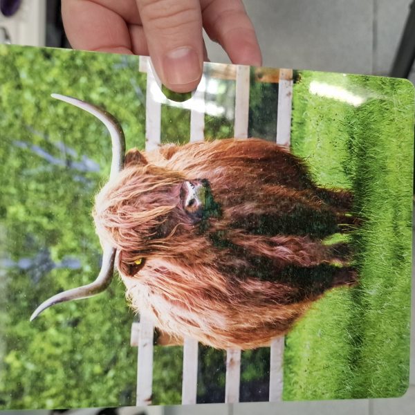 Metal Print