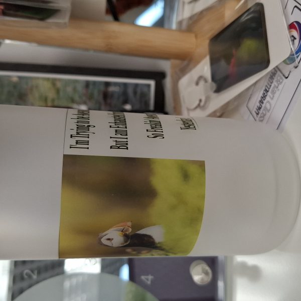 Glass Tumbler