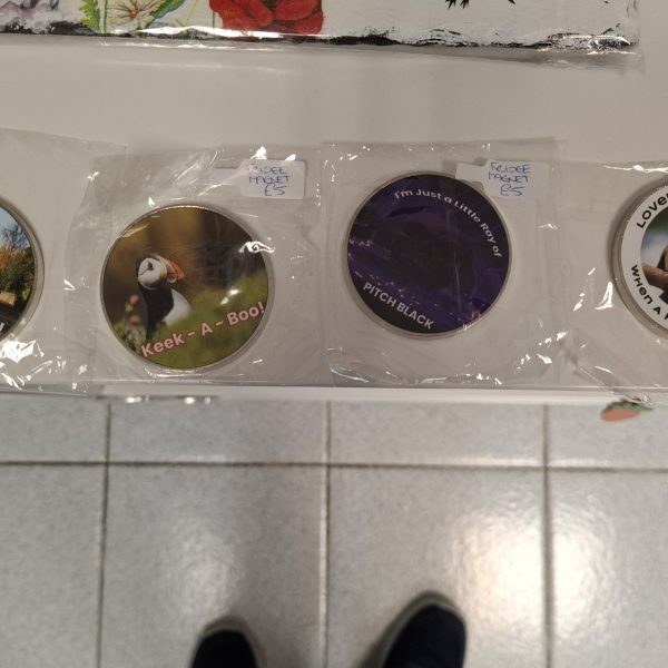 Round Fridge  Magnets